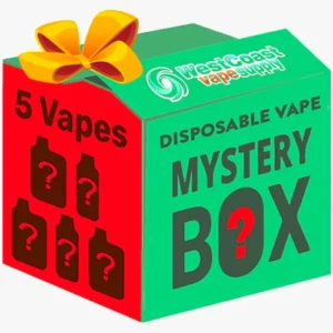 Disposable Vape Mystery Bundle 5-Pack